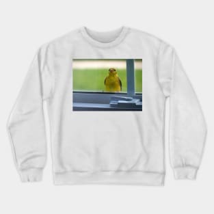 Little Bird on the Window Sill Crewneck Sweatshirt